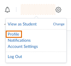 Drop-down menu under name